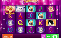 Mecca Casino Bet Slot